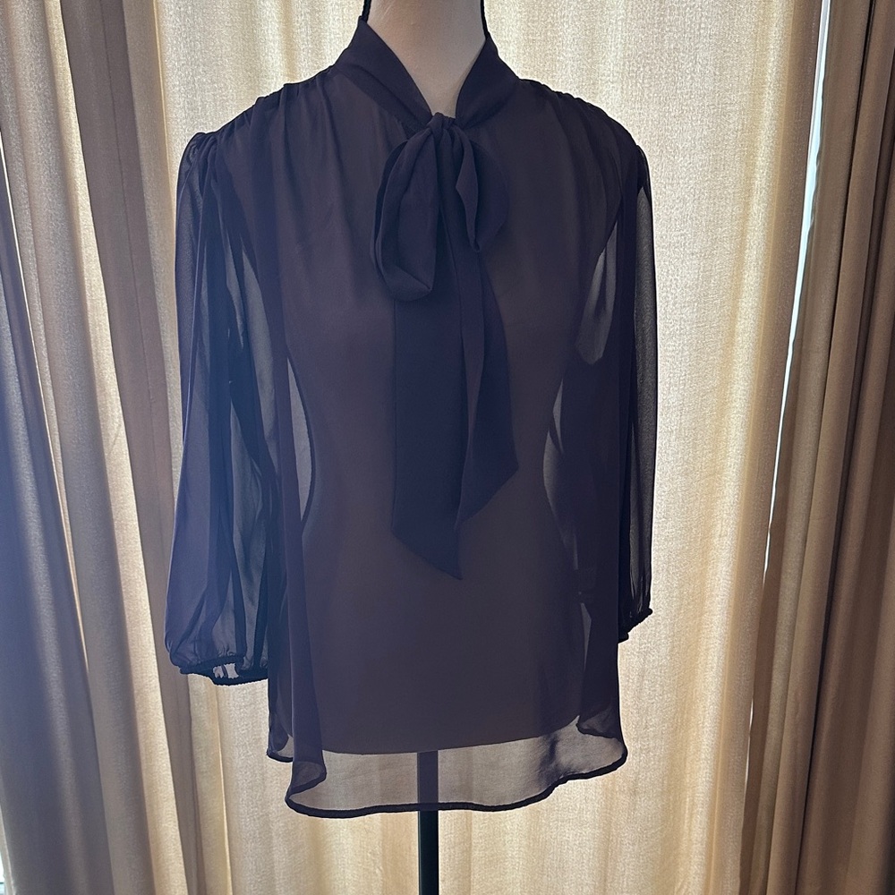 Elegant Purple Sheer Blouse with Bow